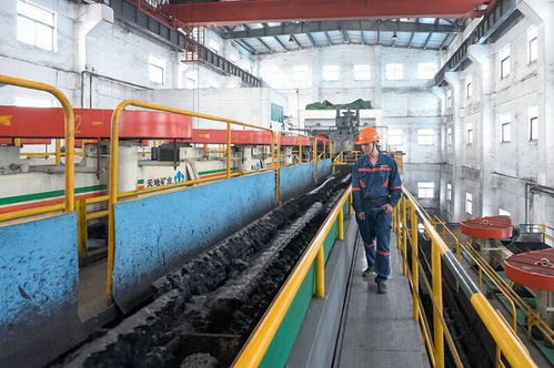 山東能源魯西煤礦創(chuàng)新舉措促發(fā)展 經(jīng)營(yíng)管理見(jiàn)成效