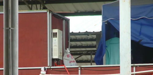 廣西水產(chǎn)批發(fā)市場“三合一”隱患凸顯 金屬及金屬礦批發(fā)業(yè)態(tài)混雜加劇安全風險