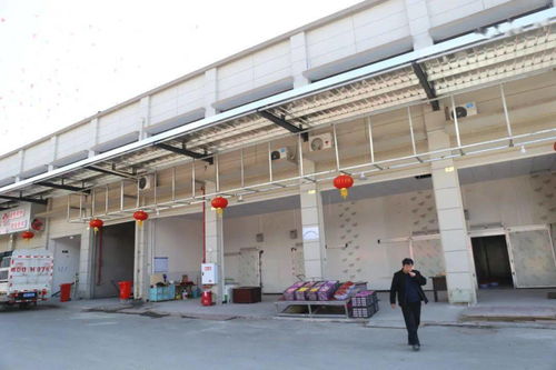 華南農(nóng)產(chǎn)品批發(fā)市場春節(jié)銷售創(chuàng)佳績，金屬及金屬礦批發(fā)業(yè)務亮點頻現(xiàn)