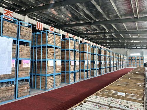 山東黃金探明國內(nèi)最大單體金礦床，交出高質量發(fā)展新答卷